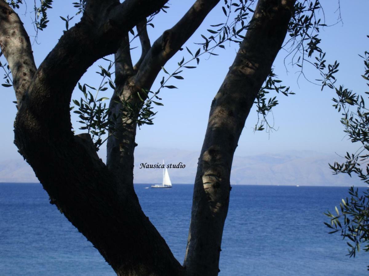Nausica... A Sense Of Paradise! Casă la țară